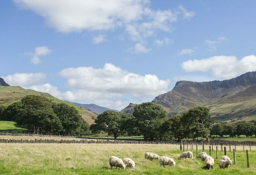 17 Victoria Terrace   Perthi