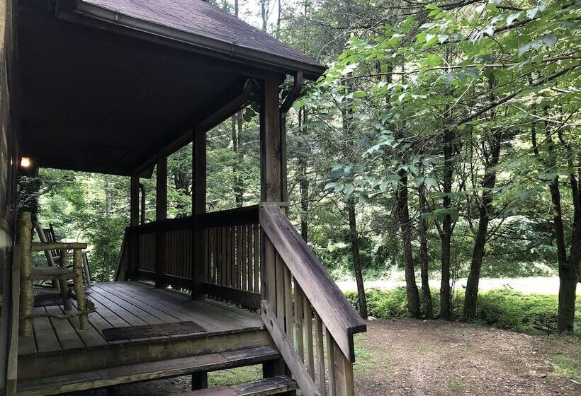 A Cabin In The Woods