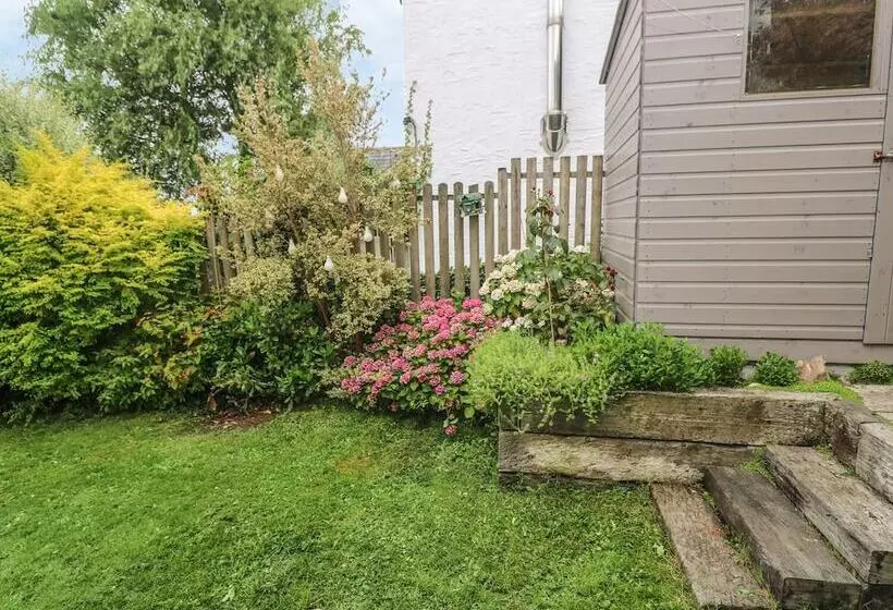 Astrantia Cottage