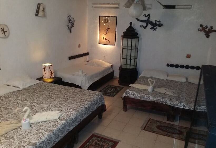 مبيت وإفطار Casa Tonantzin 2