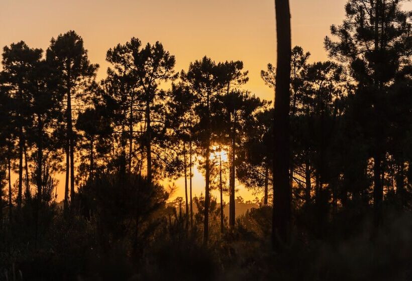 Отель Cocoon Eco Design Lodges