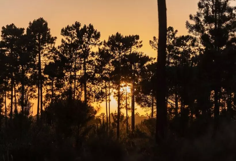 ホテル Cocoon Eco Design Lodges