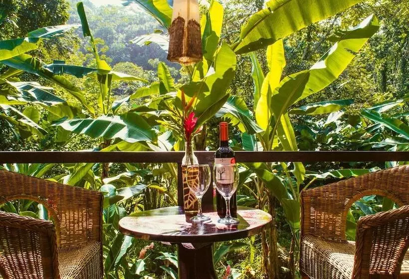 هتل Island Plantation