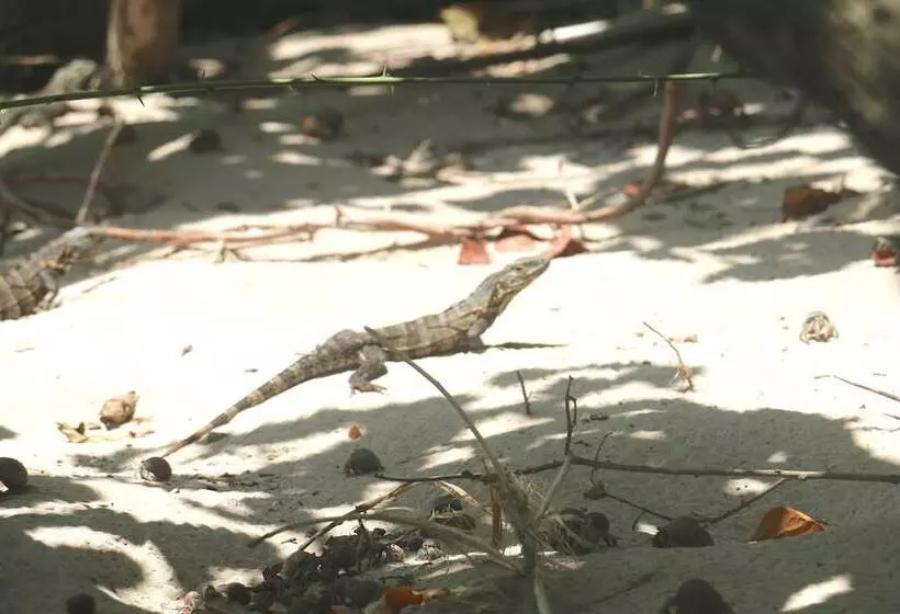 Hotelli Pedasi Ocean Properties