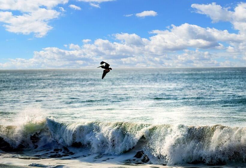 Отель Pedasi Ocean Properties