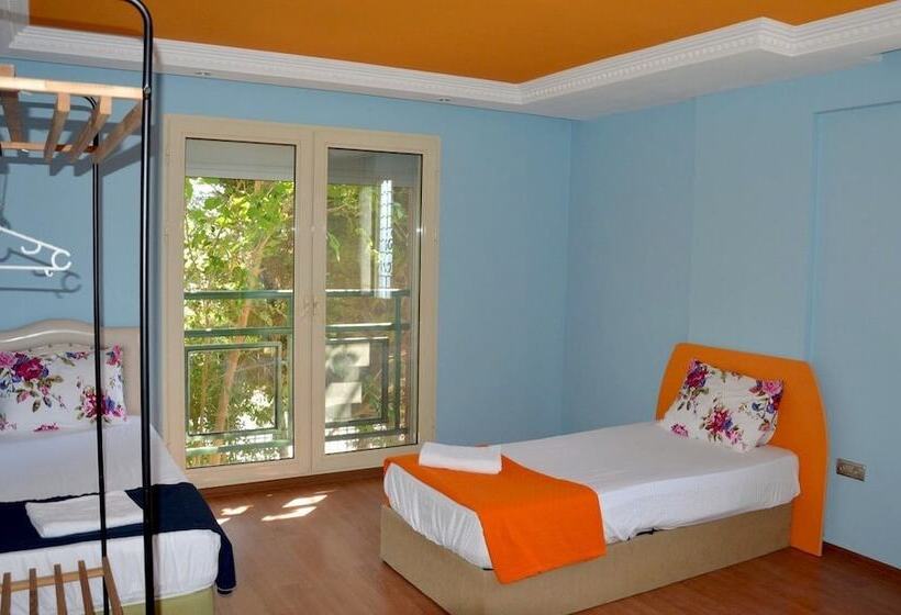 بنسيون Zen House