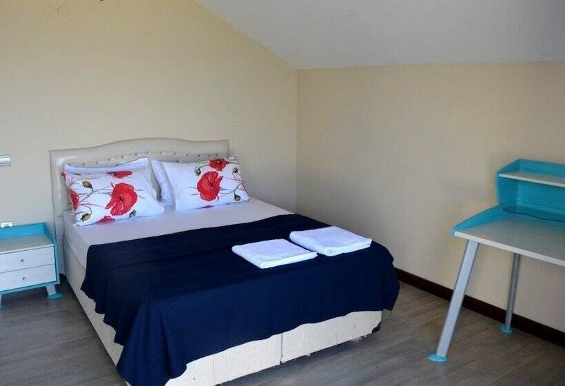 بنسيون Zen House