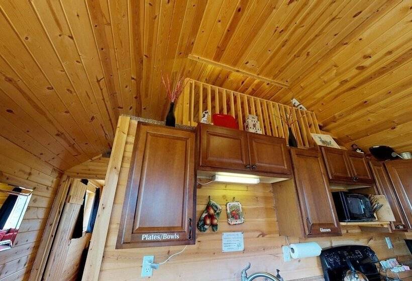 White Cabin Cozy Secluded Cabin