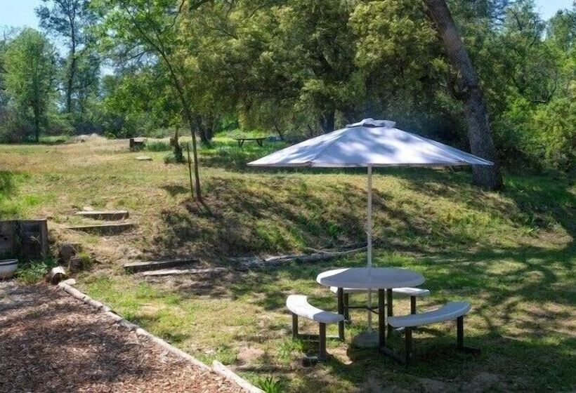 Yosemite Scenic Wonders Magic Escape