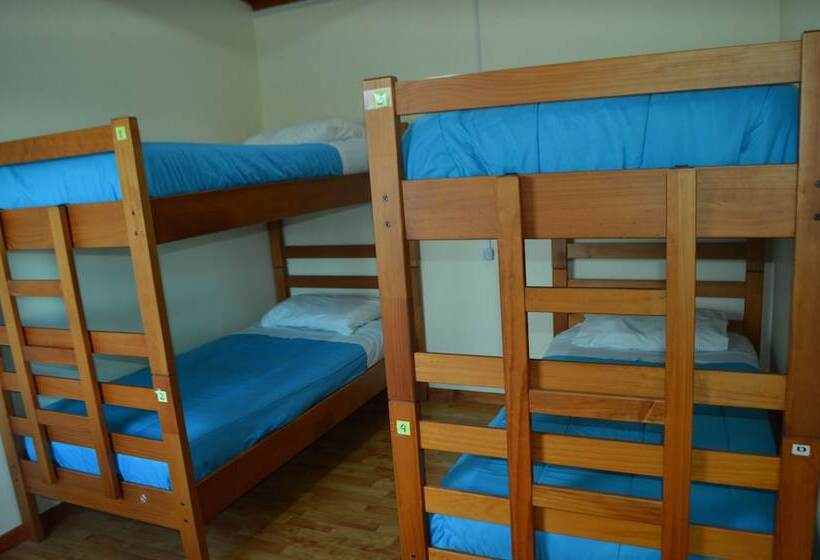 Carfran Patagonia Hostel