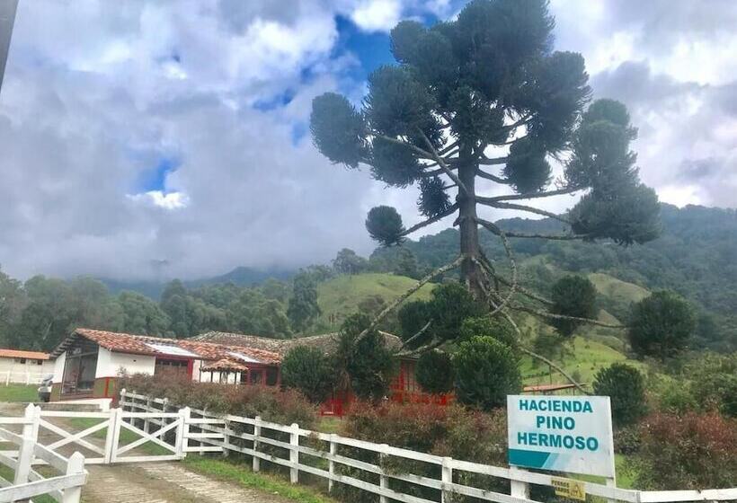 Ecohotel Pinohermoso