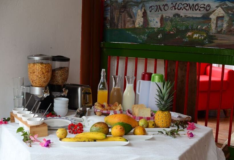 Ecohotel Pinohermoso