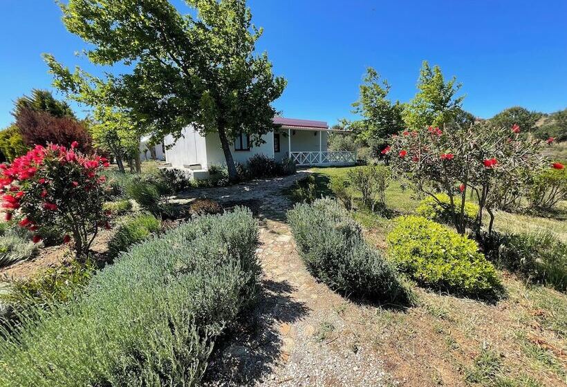 هتل Aya Yorgi Evleri