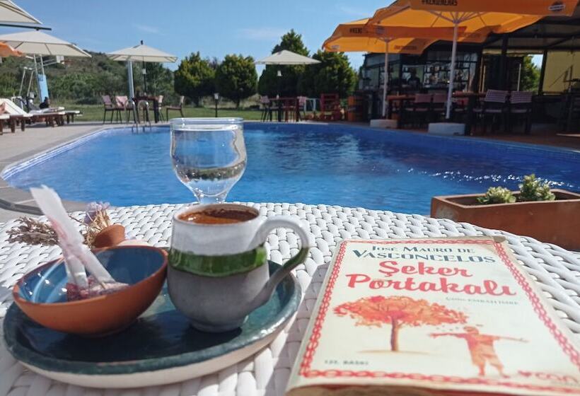 هتل Aya Yorgi Evleri