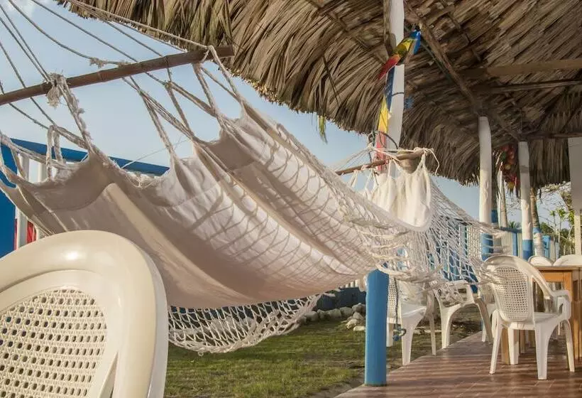 ホテル Brisas Del Mar