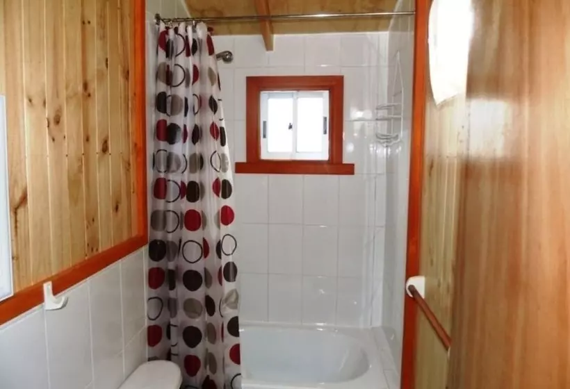 ホテル Cabañas Choshuenco