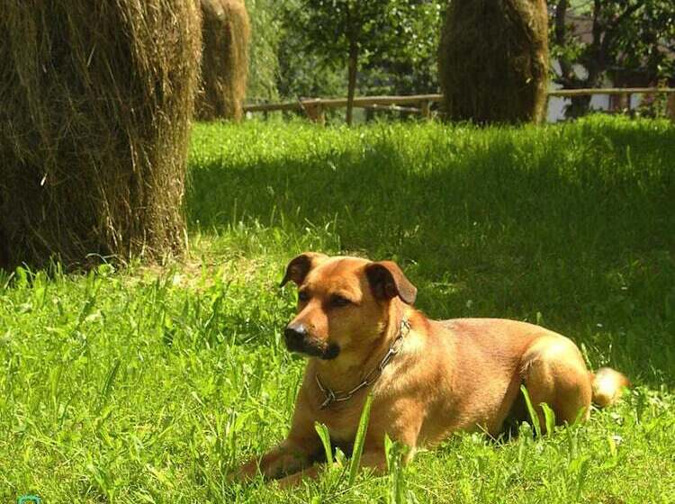 Отель Ferienhaus Stoanerhof