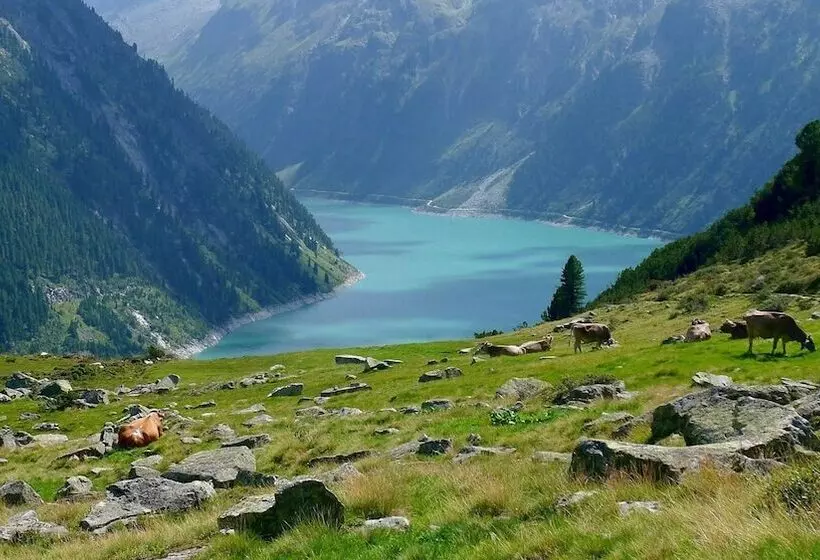 ホテル Ferienhaus Stoanerhof