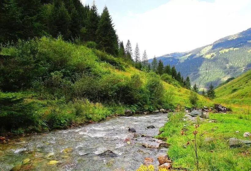 ホテル Ferienhaus Stoanerhof