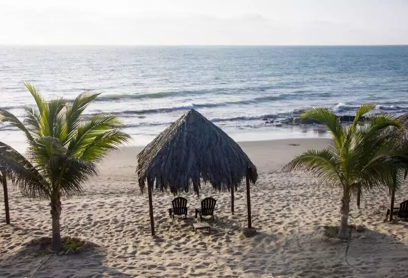 ホテル Hoja De Palma Bungalows