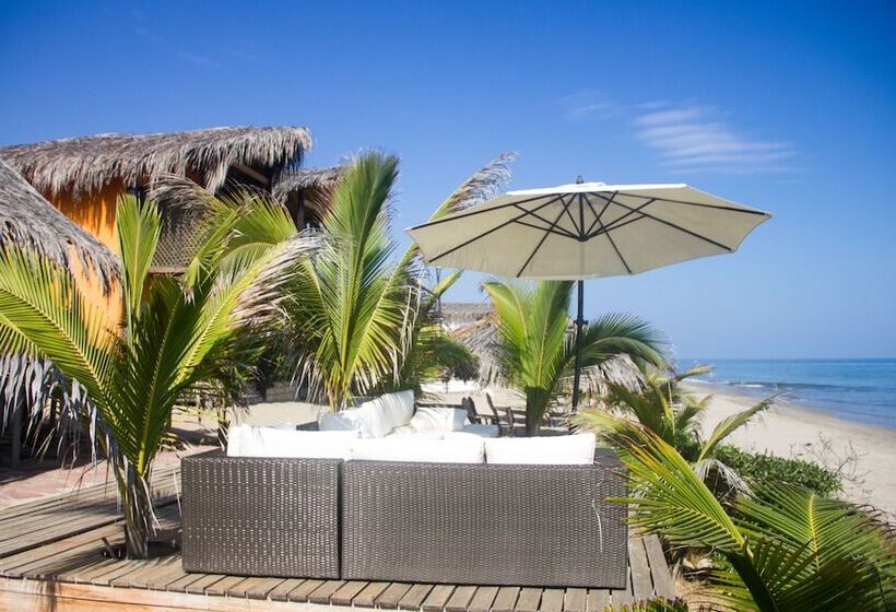 酒店 Hoja De Palma Bungalows