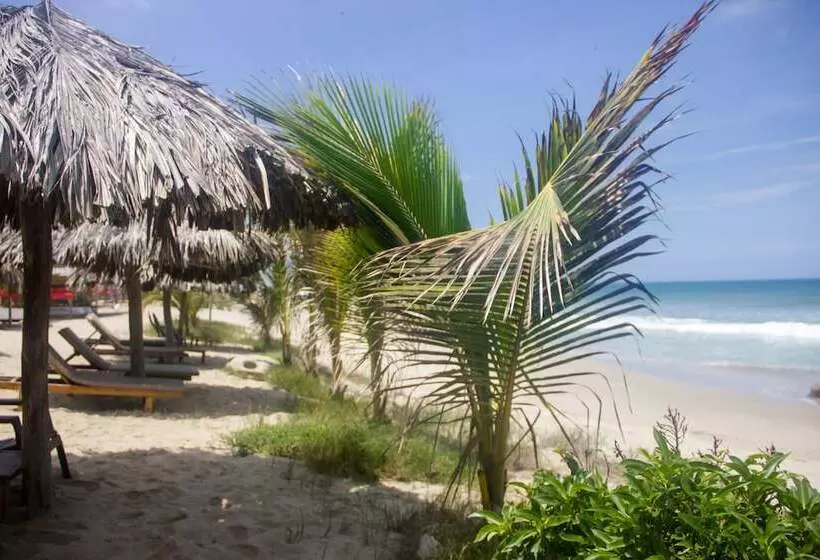 ホテル Hoja De Palma Bungalows