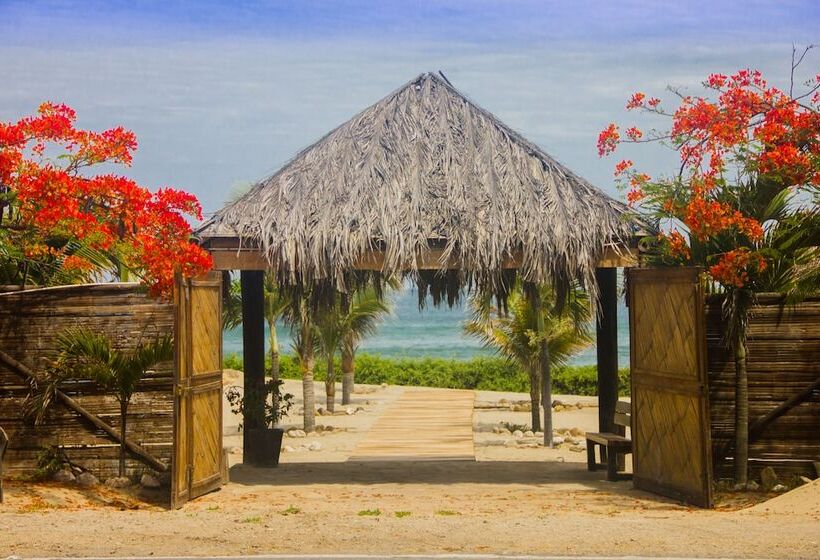 酒店 Hoja De Palma Bungalows