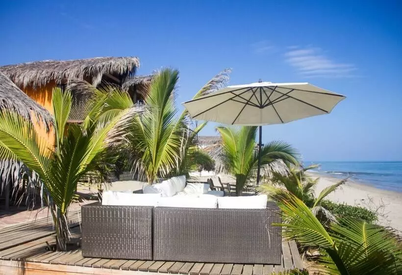 ホテル Hoja De Palma Bungalows