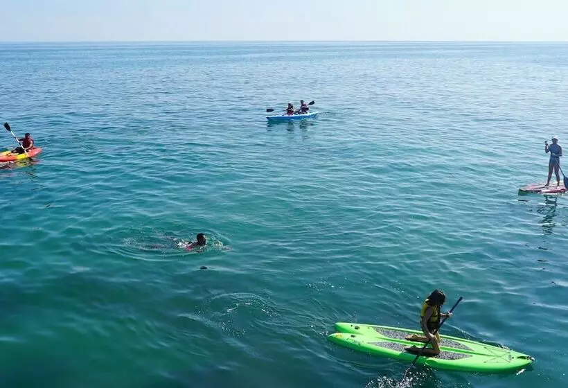 ホテル Hoja De Palma Bungalows