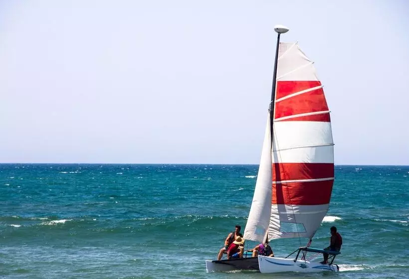 ホテル Hoja De Palma Bungalows