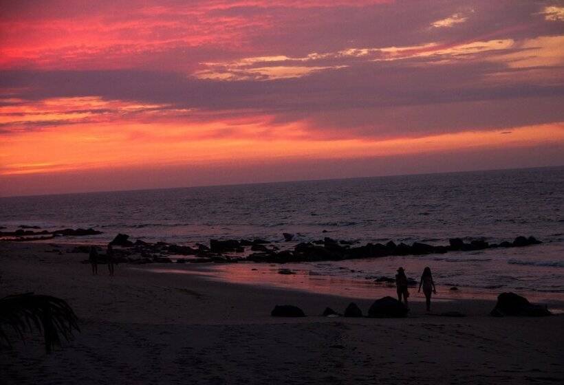 酒店 Hoja De Palma Bungalows