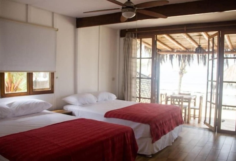 酒店 Hoja De Palma Bungalows