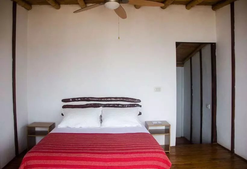 ホテル Hoja De Palma Bungalows