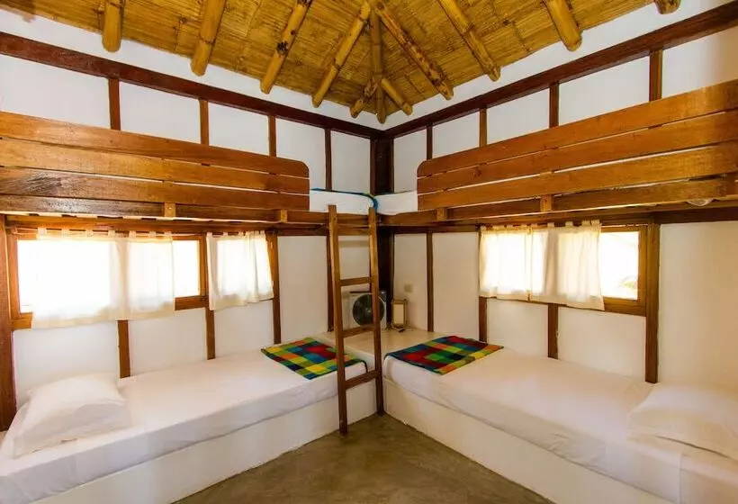 ホテル Hoja De Palma Bungalows