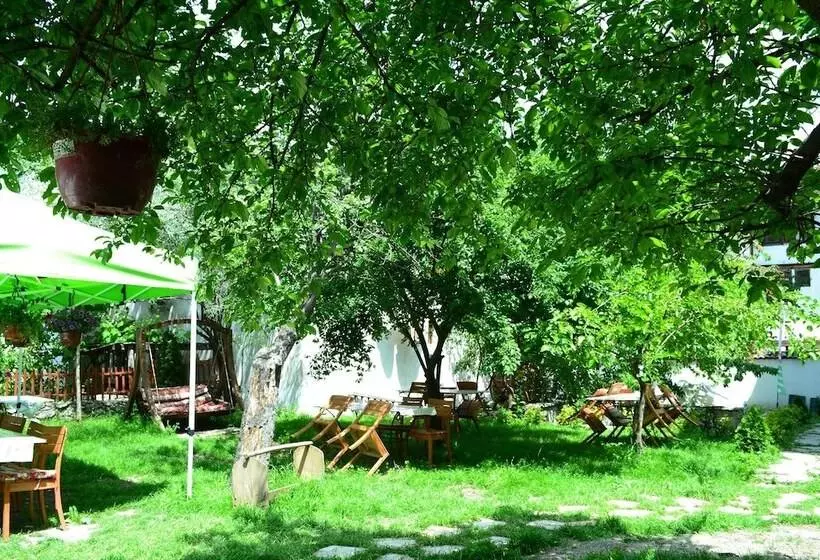 Hotelli Tasev Konagi