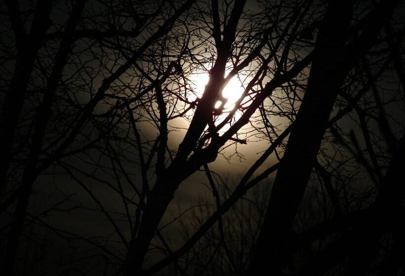 Ostsee Gutshaus Bungalows