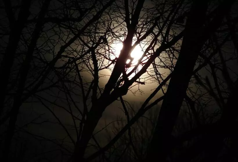 Ostsee Gutshaus Bungalows