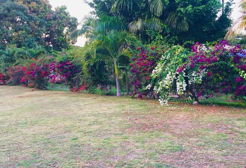 پانسیون Alpha & Omega House