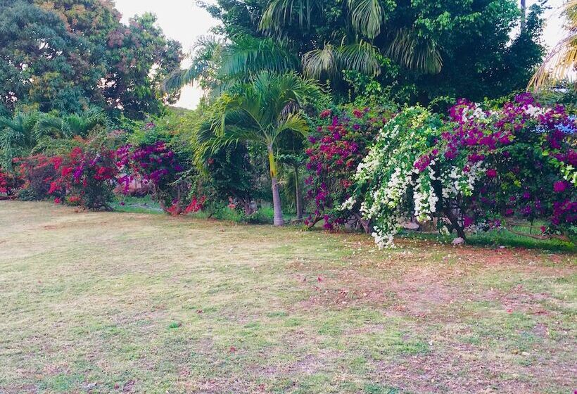 پانسیون Alpha & Omega House