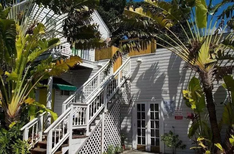 ペンション Colors On White