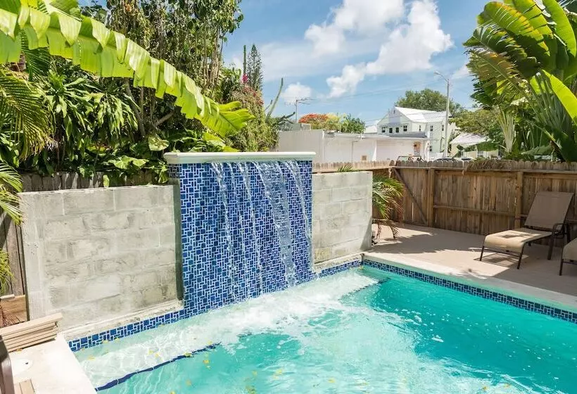 ペンション Colors On White