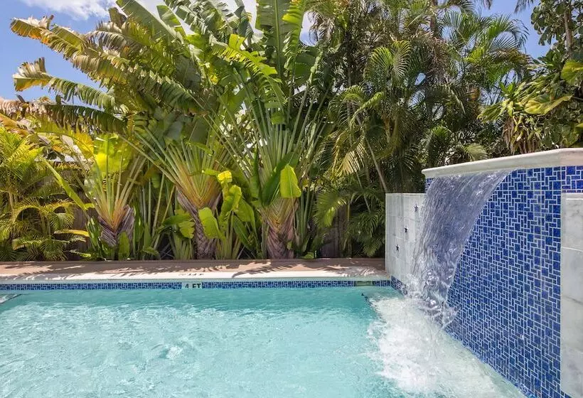 ペンション Colors On White