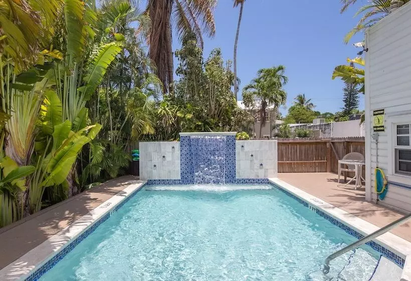 ペンション Colors On White