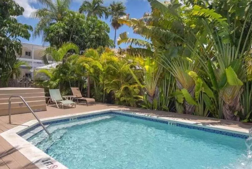 ペンション Colors On White