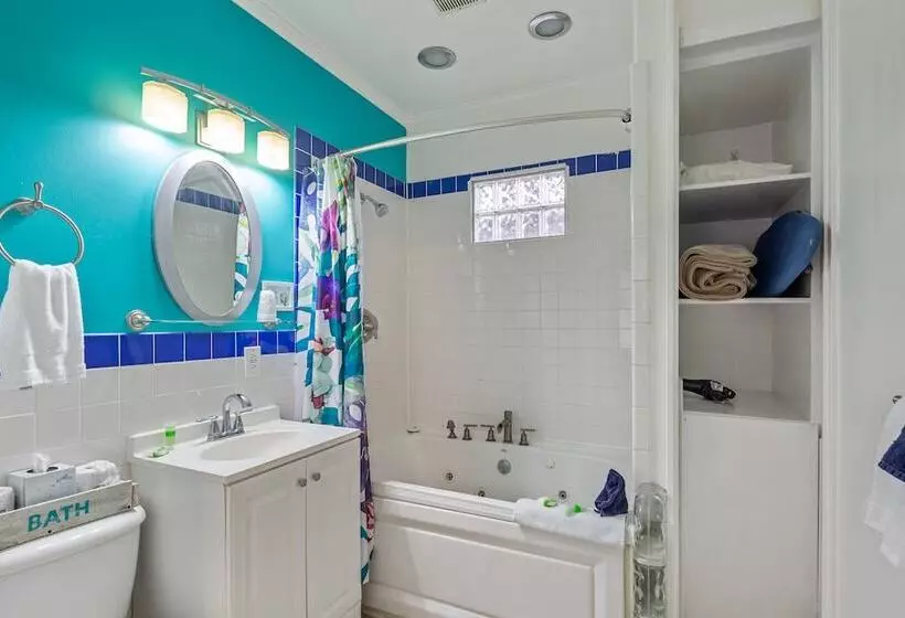 ペンション Colors On White