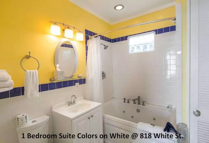 ペンション Colors On White