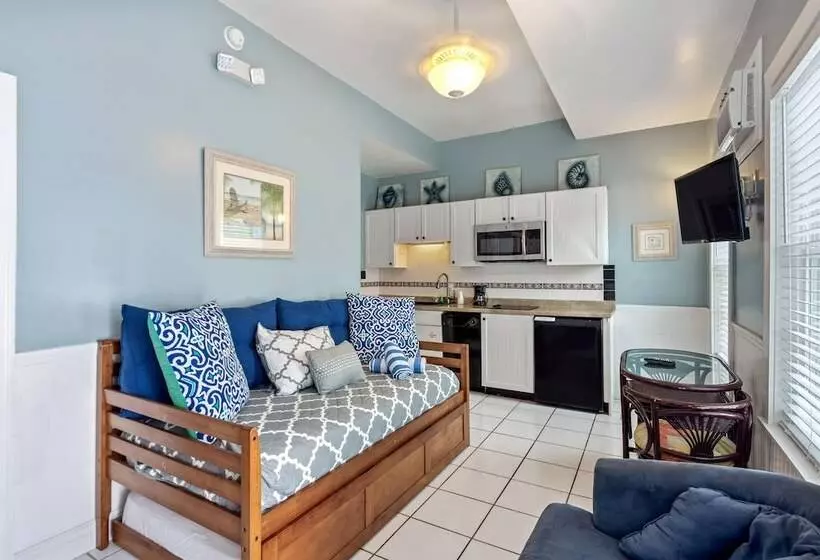 ペンション Colors On White