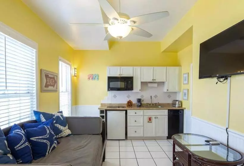 ペンション Colors On White