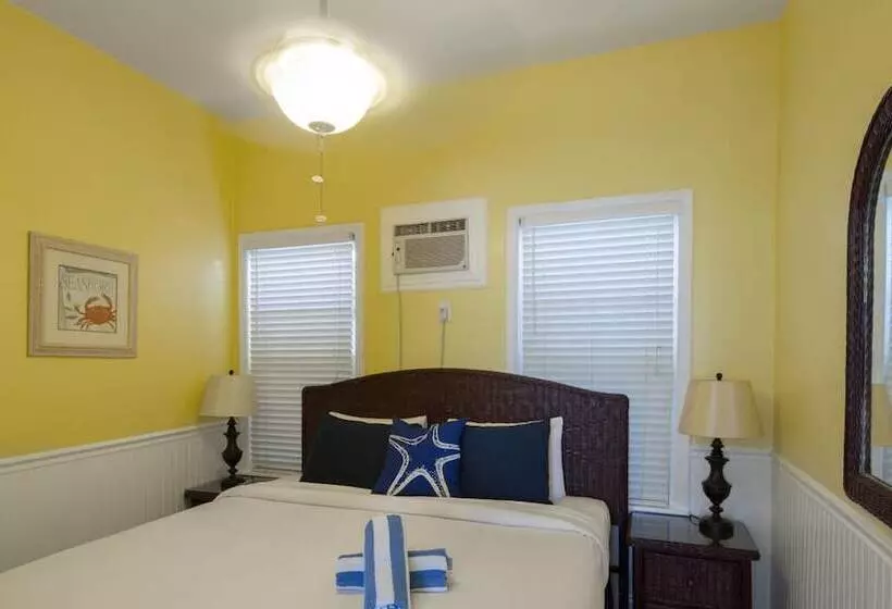 ペンション Colors On White