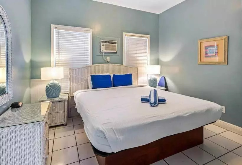 ペンション Colors On White